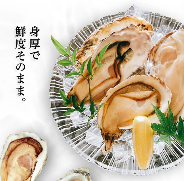 お刺身OK】広島県産 殻付き牡蠣(冷凍)800g前後（12粒入）