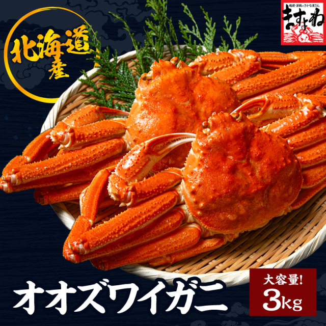 【新発売!特売14,800円送料無料!】北海道産 オオズワイガニ 姿3kg 冷凍 お取り寄せ お歳暮 かに カニ 蟹