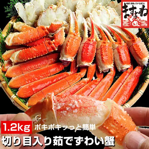 【最安挑戦★13,200円⇒9,280円送料無料！】ポキポキッっと簡単に殻むき体験！切り目入り茹でずわい蟹大盛り1.2kg(600g×2)[ボイル/蟹足][送料無料](かに/カニ/蟹/ずわい/ズワイ/お歳暮/御歳暮)