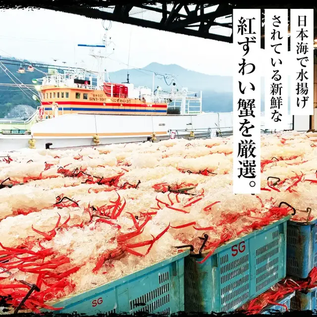 日本海産 紅ずわい蟹棒肉 500g(250g×2P)(加熱済み) ボイル済みだから