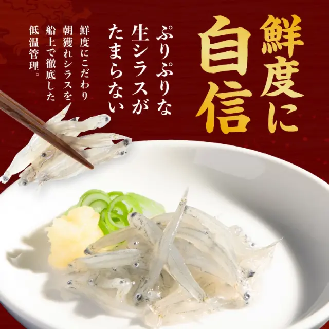 【ご確認用】イコリア 肉食島 日本語 1枚 y-shirasu-500_02.webp?t=