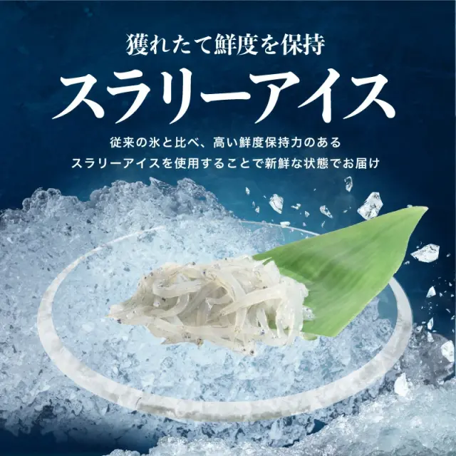 瀬戸内海産 生しらす 500g（100g×5パック） 高鮮度でお刺身で