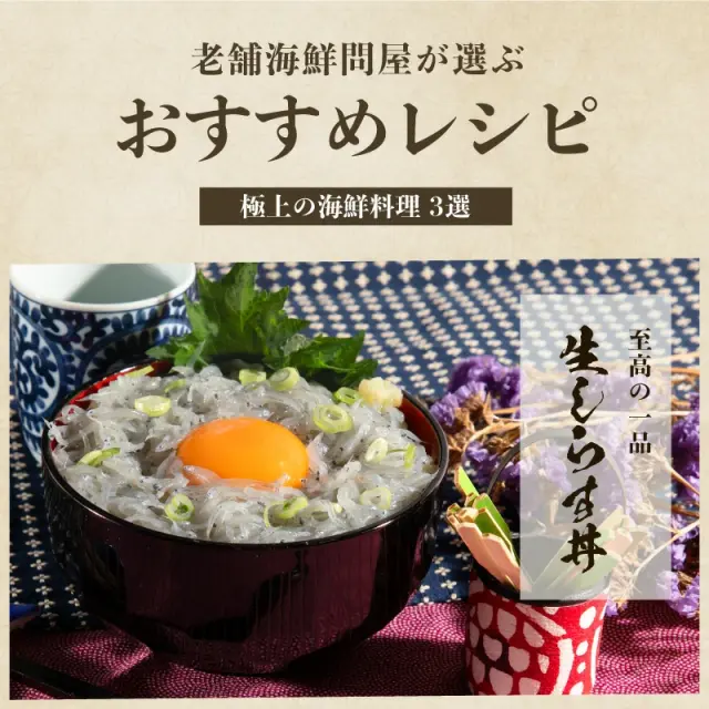 瀬戸内海産 生しらす 500g（100g×5パック） 高鮮度でお刺身で