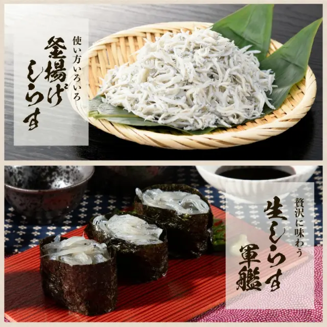 瀬戸内海産 生しらす 500g（100g×5パック） 高鮮度でお刺身で