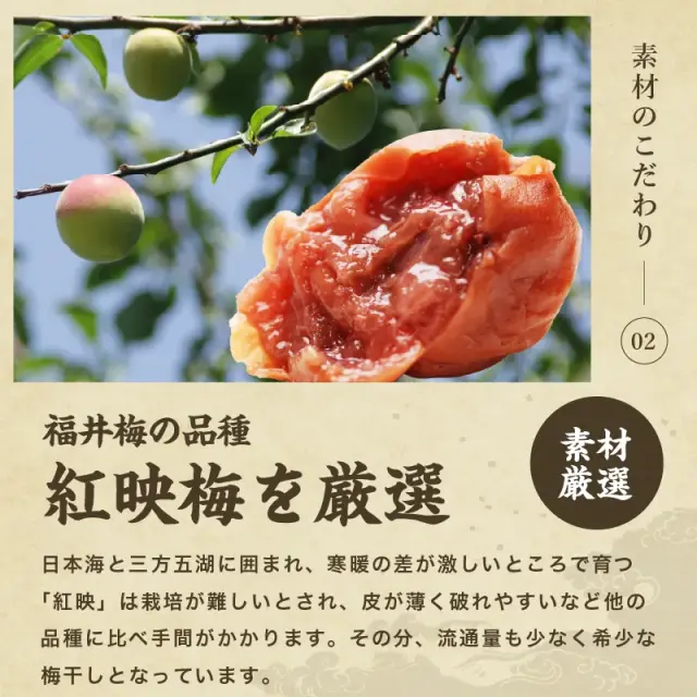 つぶれ福井梅干し 900g(450g×2パック) しそ味 【傷あり・サイズ不揃い