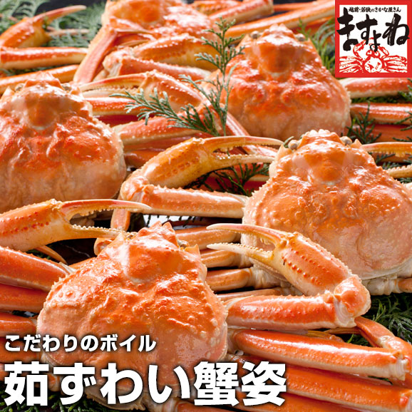 ボイルずわい蟹 姿 500g前後×3尾 [計1.5kg前後]【かに/カニ/蟹/姿/ずわい/ズワイ/ますよね】