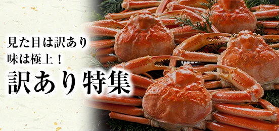 訳あり特集