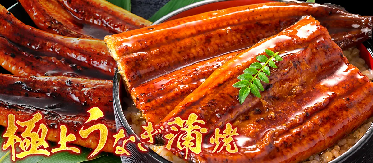 うなぎ蒲焼き