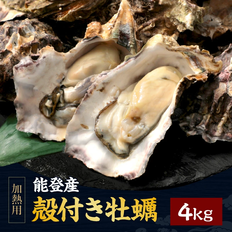 能登産 殻付き牡蠣 加熱用（復興支援）大容量4kg(36～44粒前後/10-16人前) 新鮮な牡蠣をチルド(冷蔵)でお届け！