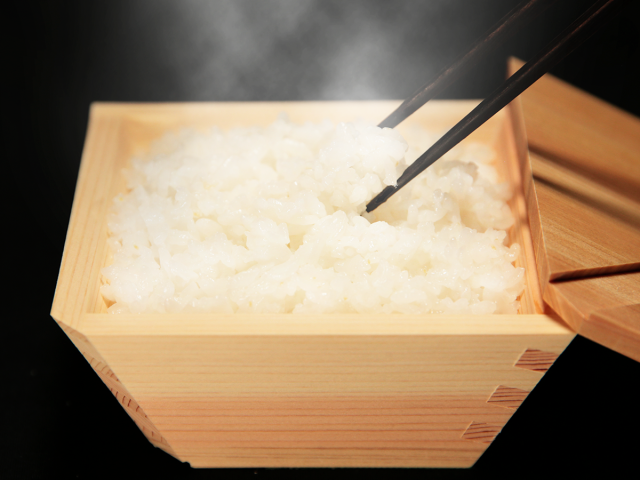 お届け日指定不可 枡のおひつ Cobitsu こびつ 最大4個まで購入可能