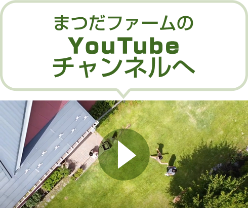 まつだファームのYouTubeチャンネルへ