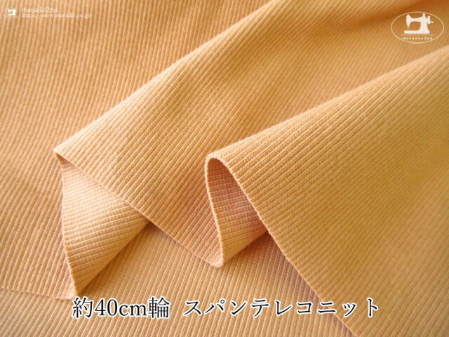 【デッドストック反】　約４０ｃｍ輪　スパンテレコ　パンプキン