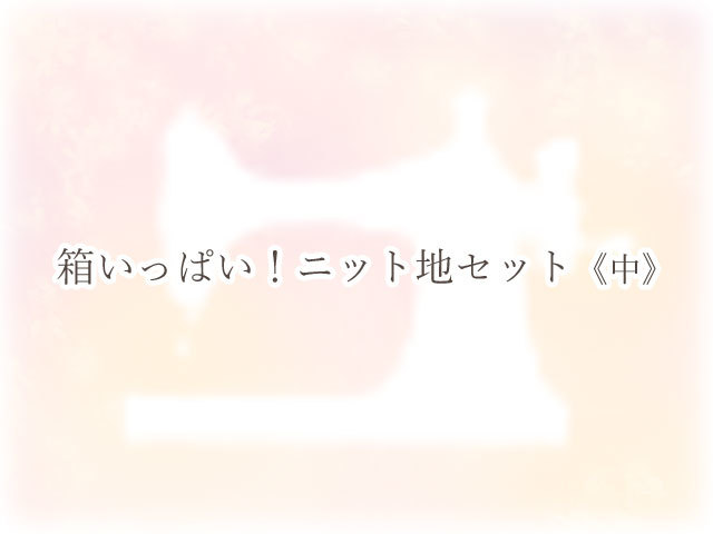 箱いっぱい！ニット地セット《中》