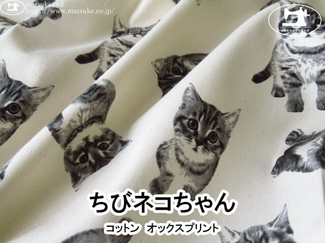 お買い得！【コットンオックスプリント】　ちびネコちゃん