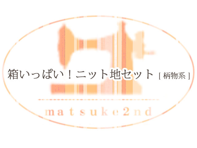 箱いっぱい(小)！ニット地セット　[ 柄物系 ]