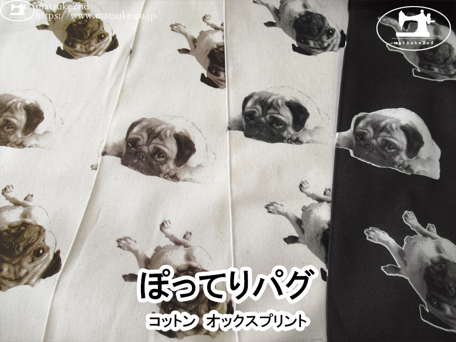 お買い得！【コットンオックスプリント】　ぽってりパグ