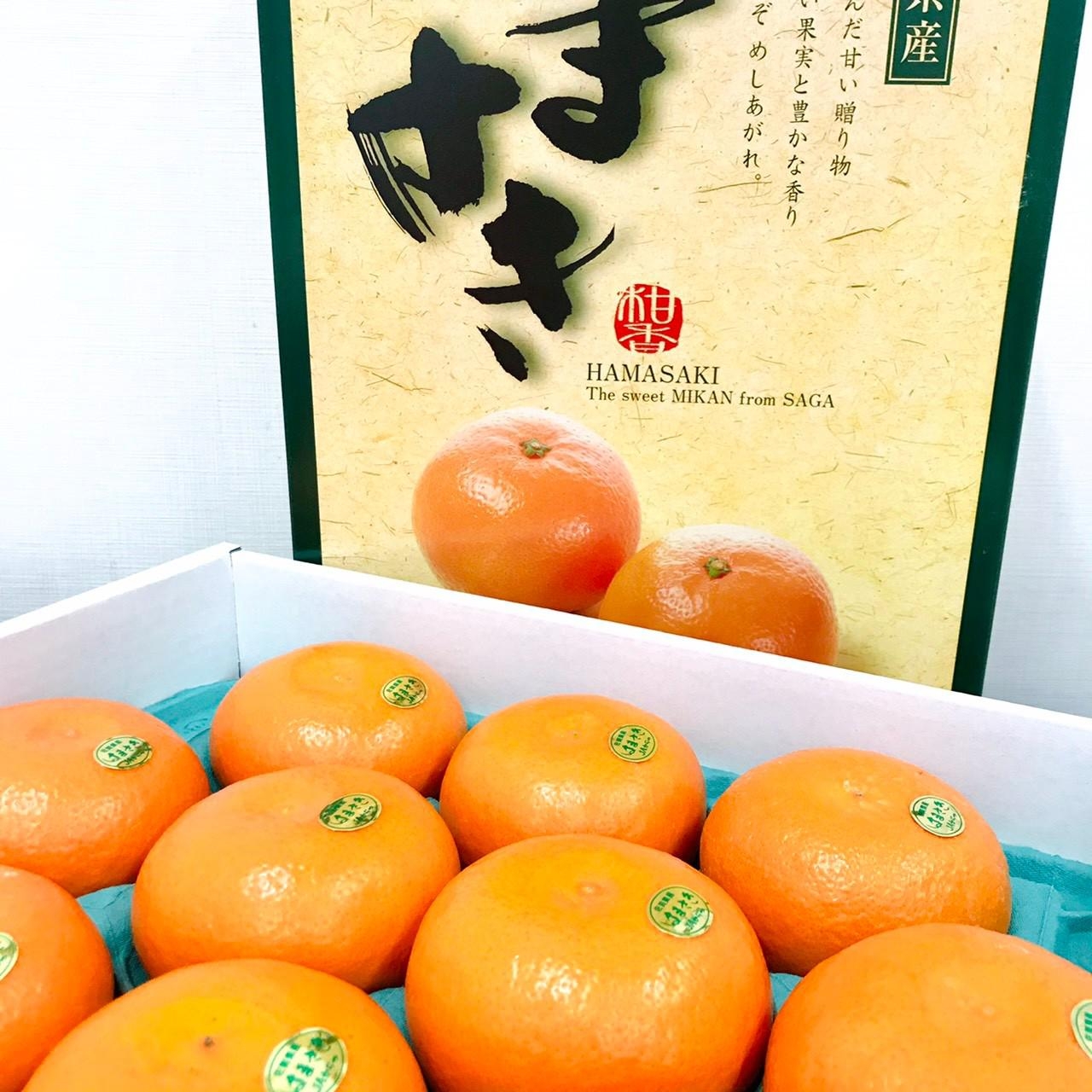 送料込 佐賀県産 はまさき 9 15玉 約2 5kg お届け日指定不可 送料込 佐賀県産 はまさき 9 15玉 約2 5kg お届け日指定不可