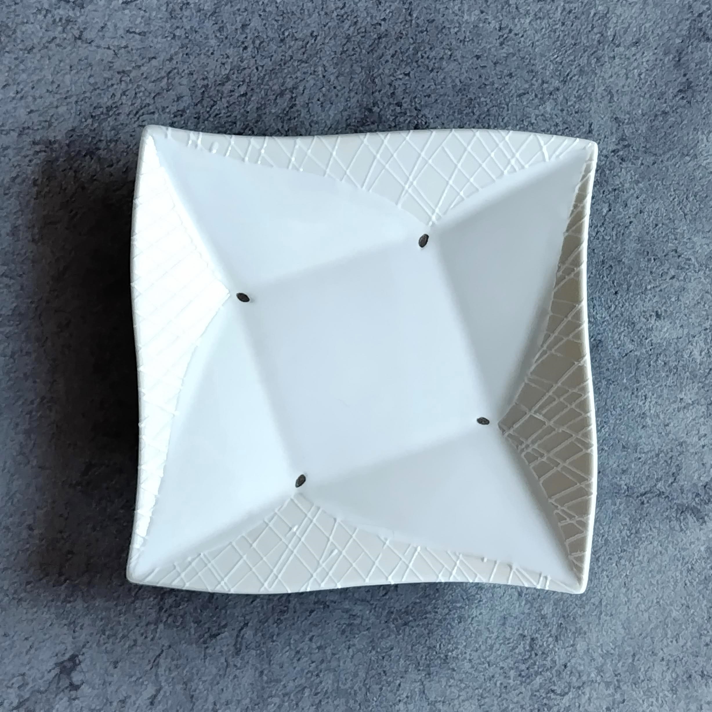 有田焼　特価品_クリーム捻り深角皿【Web有田陶器市限定！】