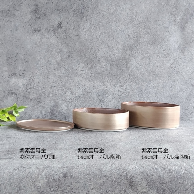 テーブルウェアフェスティバル