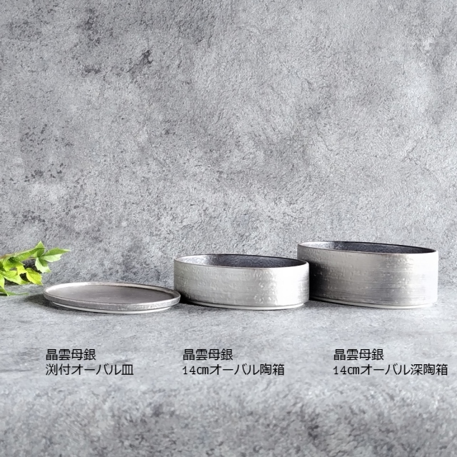 テーブルウェアフェスティバル