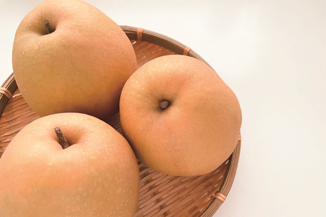 【C33-03】鳥取県産 王秋梨［3.5kg］　※お届け日の指定はできません　※11月中旬～12月中旬出荷　※12月10日締切