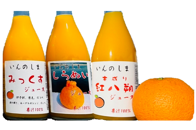 柑橘ジューススタンダードセット　果汁１００％　３本入り