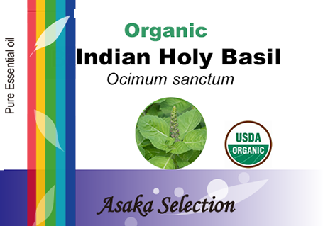 ホーリーバジル