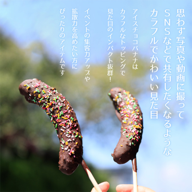 個包装 アイスチョコバナナ 完全包装 冷凍 完成品｜文化祭・学園祭