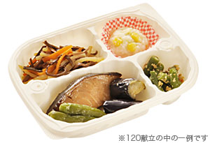 糖尿病食240タイプ