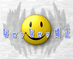 �ʤ����ʤ�������