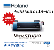 キャンペーン！