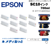 【キャンペーン】EPSONインクカートリッジSC10WW60　W（ホワイト）　600ml  / 送料込み