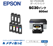 EPSONガーメントインク SC30CLL　クリーニングインクパック　800ml　（SC-F2250用）