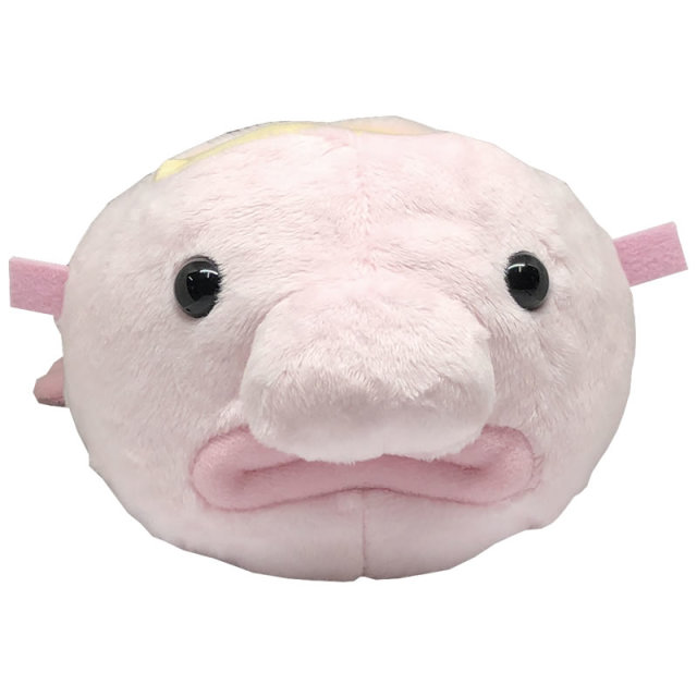 I-10ふぇいすスタンド深海魚 ニュウドウカジカ