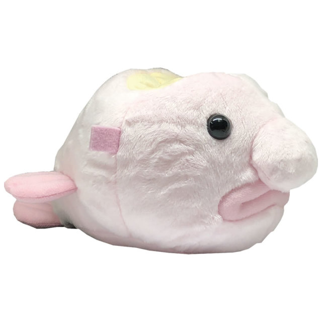 I-10ふぇいすスタンド深海魚 ニュウドウカジカ