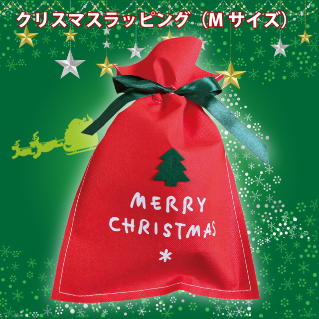 クリスマスラッピング（Ｍサイズ）