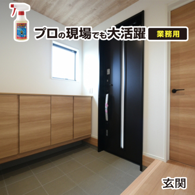 クモ除け | スパイダー、バイバイ！