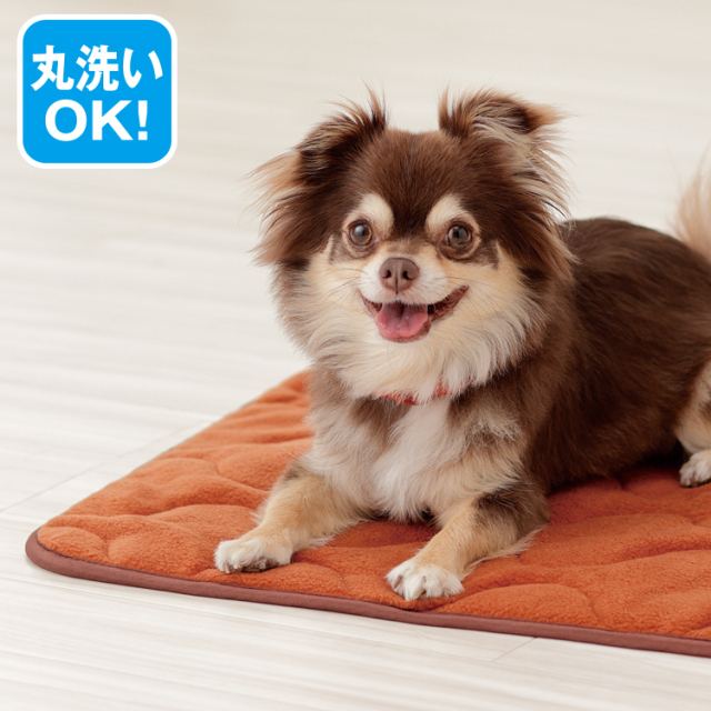 ペットベッド | more hot 暖暖あったか快適ペットパッド