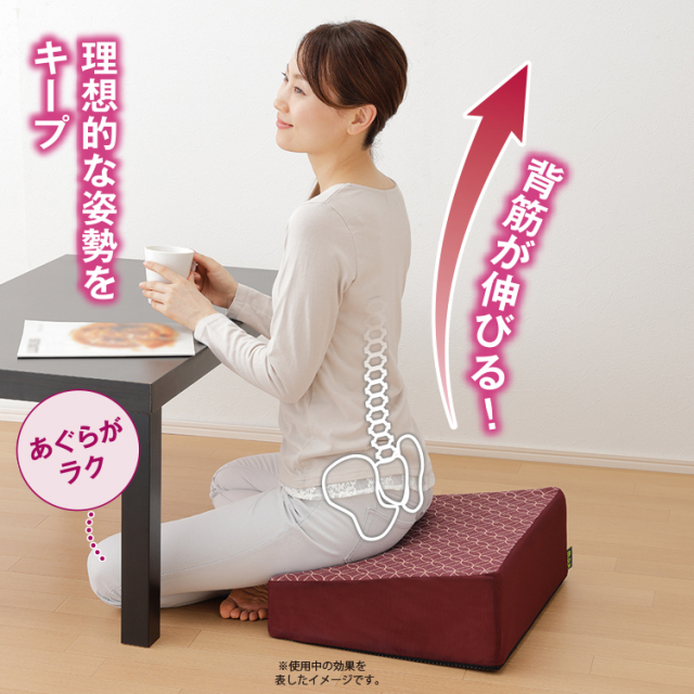 腰の負担軽減 座布団 | 腰にやさしい床坐クッション