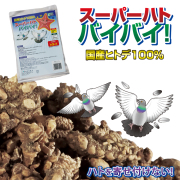 s_hato750.jpg