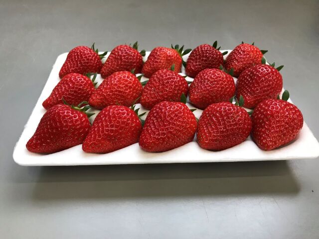 生鮮食品（いちご）