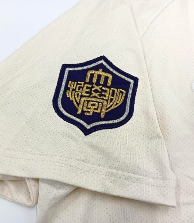 野球部レプリカユニフォーム タイプ5・Lサイズ