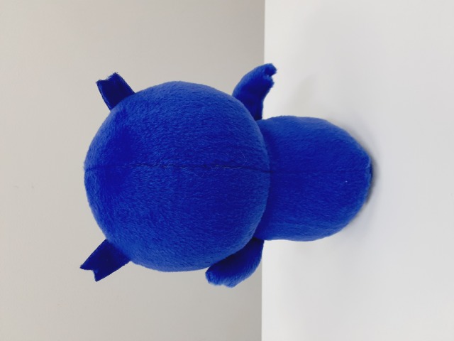 ◇ぬいぐるみ おすわりめいじろう 明大グッズ ネットショップ