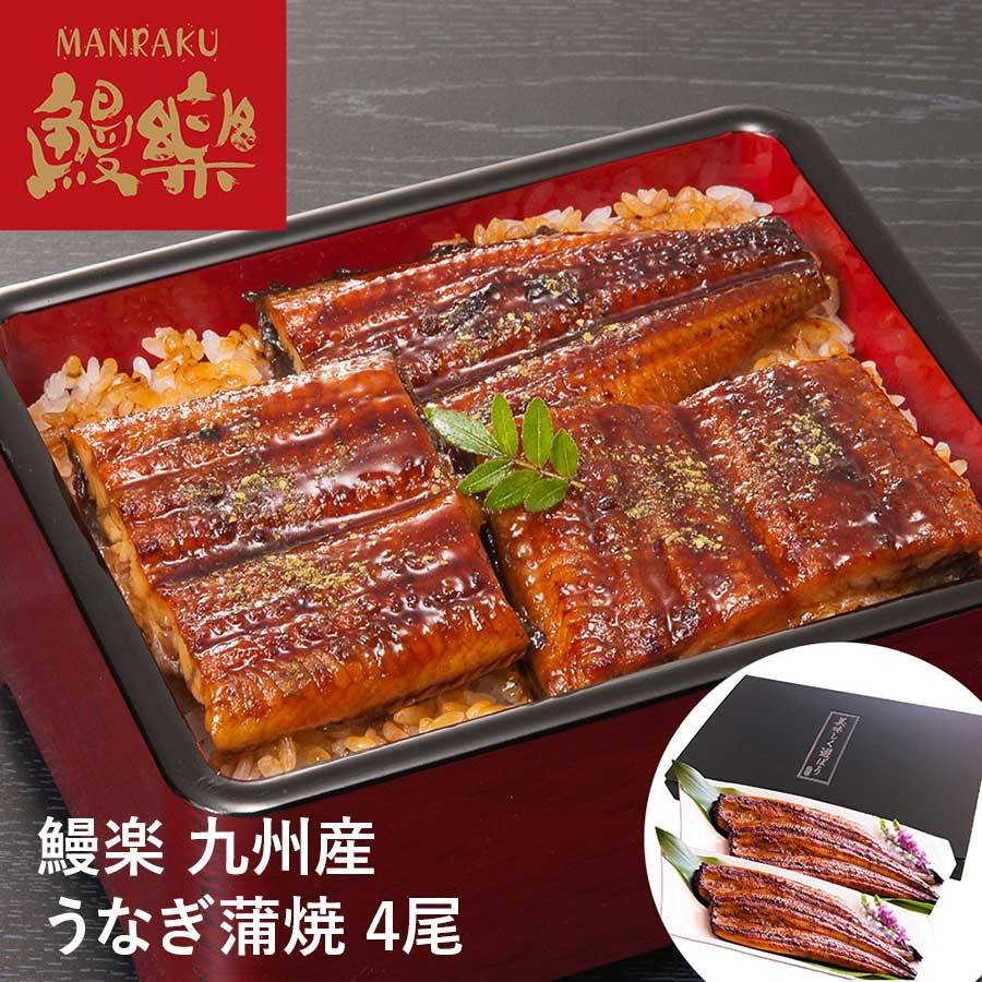 【送料無料】宮崎 鰻楽 九州産 うなぎ蒲焼 4尾 (計560g）※離島は配送不可