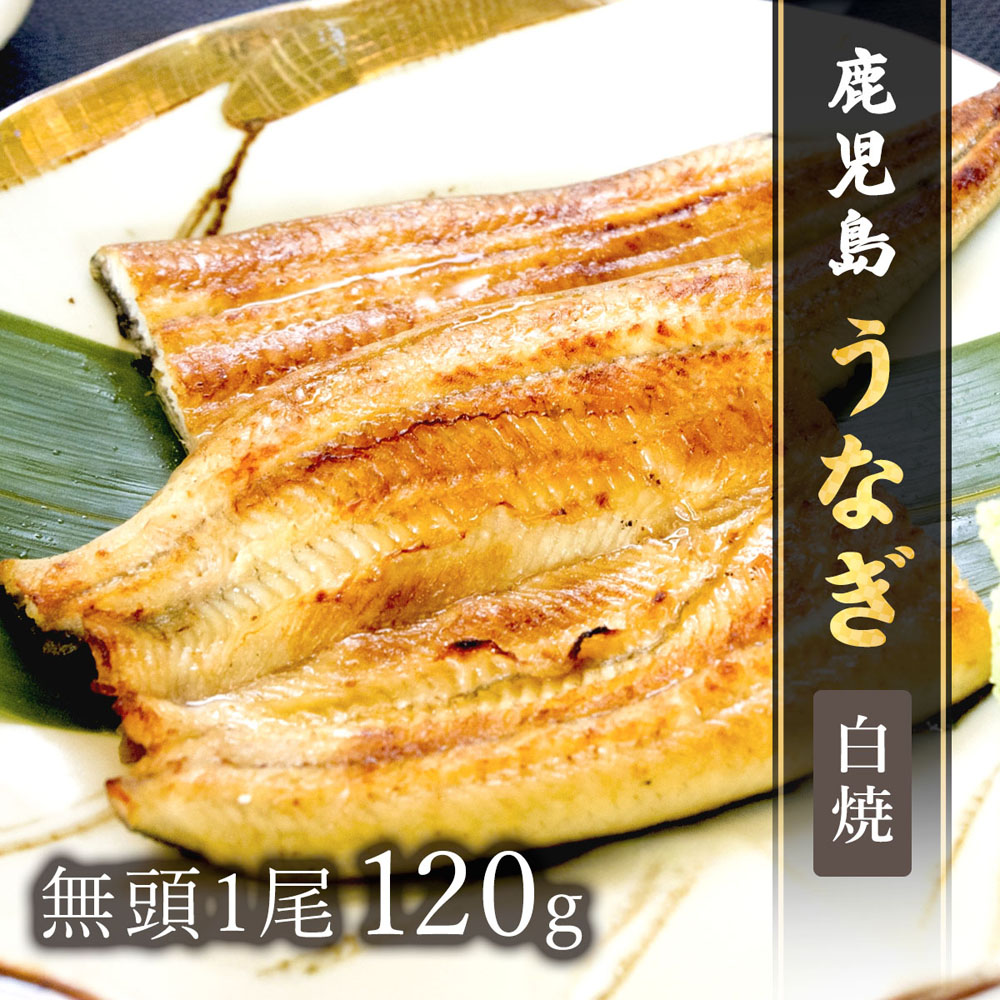 【送料無料】鹿児島うなぎ無頭 白焼1尾120g × 1P 長焼き 長焼 ウナギ 鰻 冷凍 ※離島は配送不可