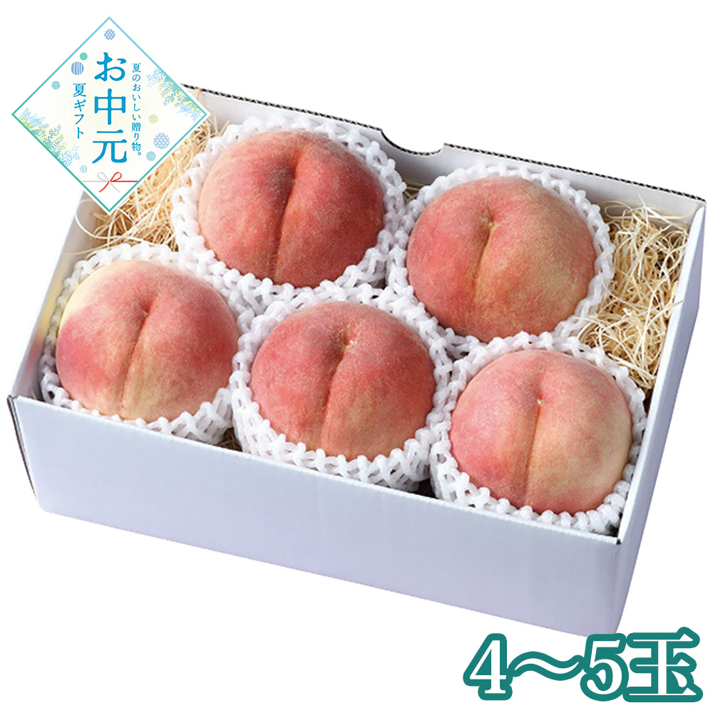 【送料無料】【お中元】【予約商品】【期間限定フルーツ】長野県産 長野の桃4〜5玉≪供給期間：2026/7/25〜2026/8/3≫  ※日時指定不可 ※北海道・沖縄・離島は配送不可 常温 フルーツ 桃 果物 セット