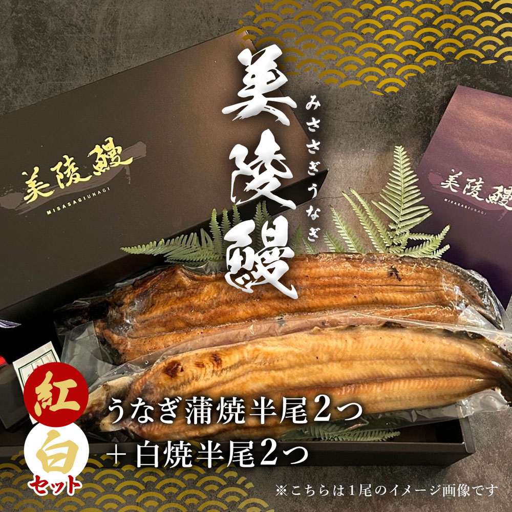 【送料無料】【食べ比べ】フィレうなぎ（半身）※蒲焼２＋白焼２ 鰻の切り身 切身 国産 ウナギ 鰻 冷凍 ※離島・海外は配送不可