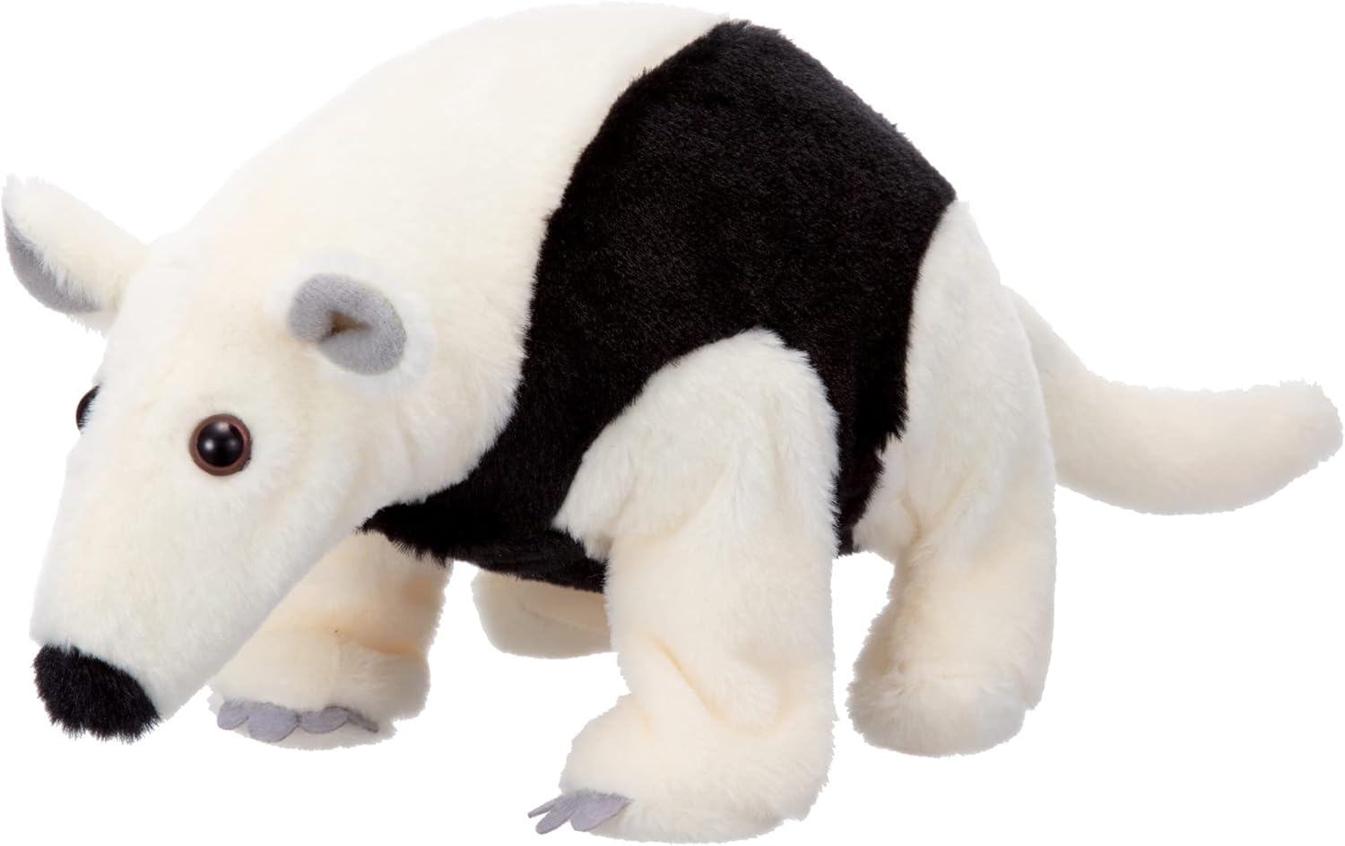 イワヤ ワシワシ歩く コアリクイのミナミちゃん　飽きない存在感！