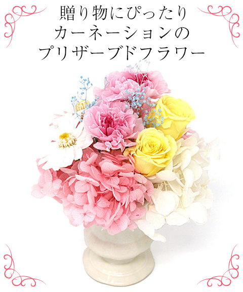 プリザーブドフラワー ミニョン MF-10