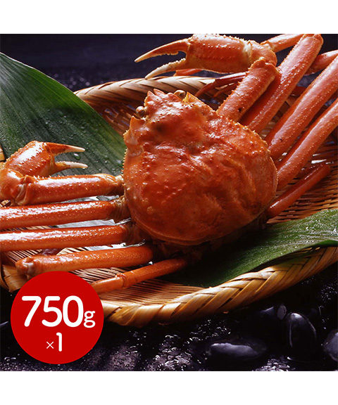 ボイルずわいがに姿 750g×1杯